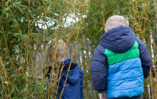 Two children in puffer jackets exploring a tall bamboo grove